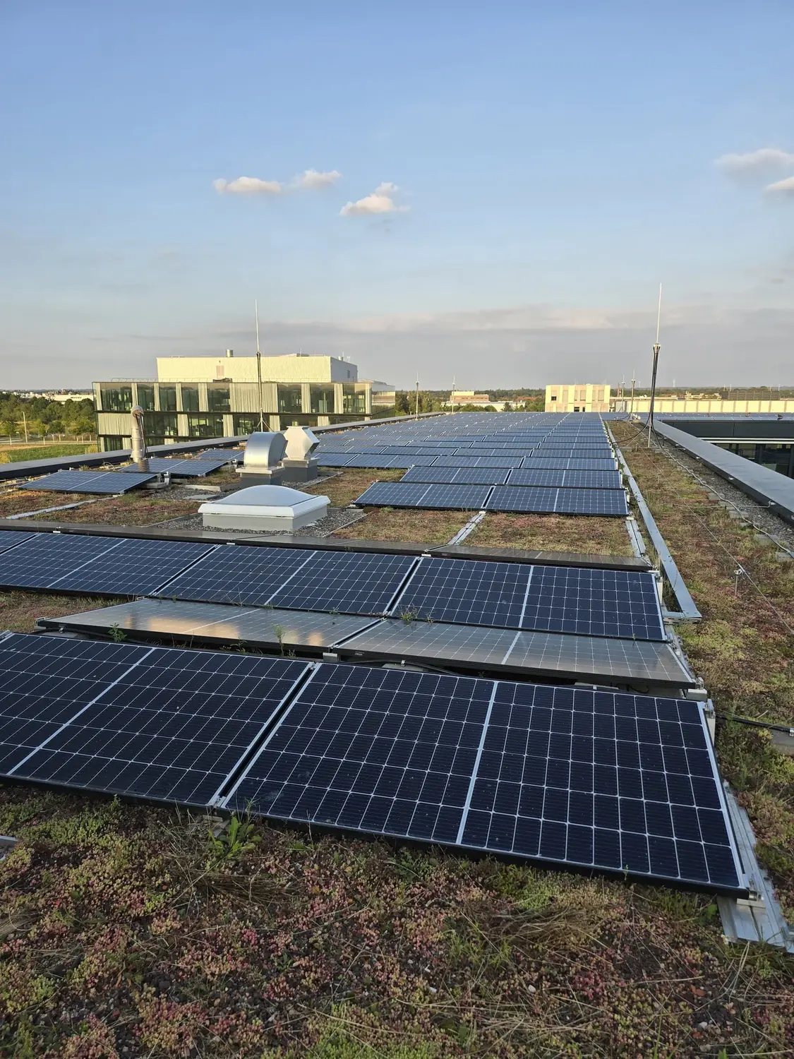 Photovoltaikanlage auf einem begrünten Flachdach